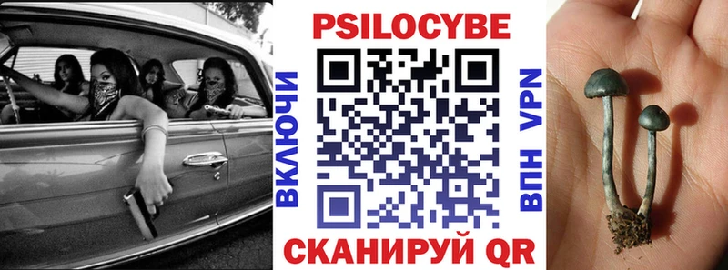 Галлюциногенные грибы Psilocybine cubensis  мега маркетплейс  Петушки 